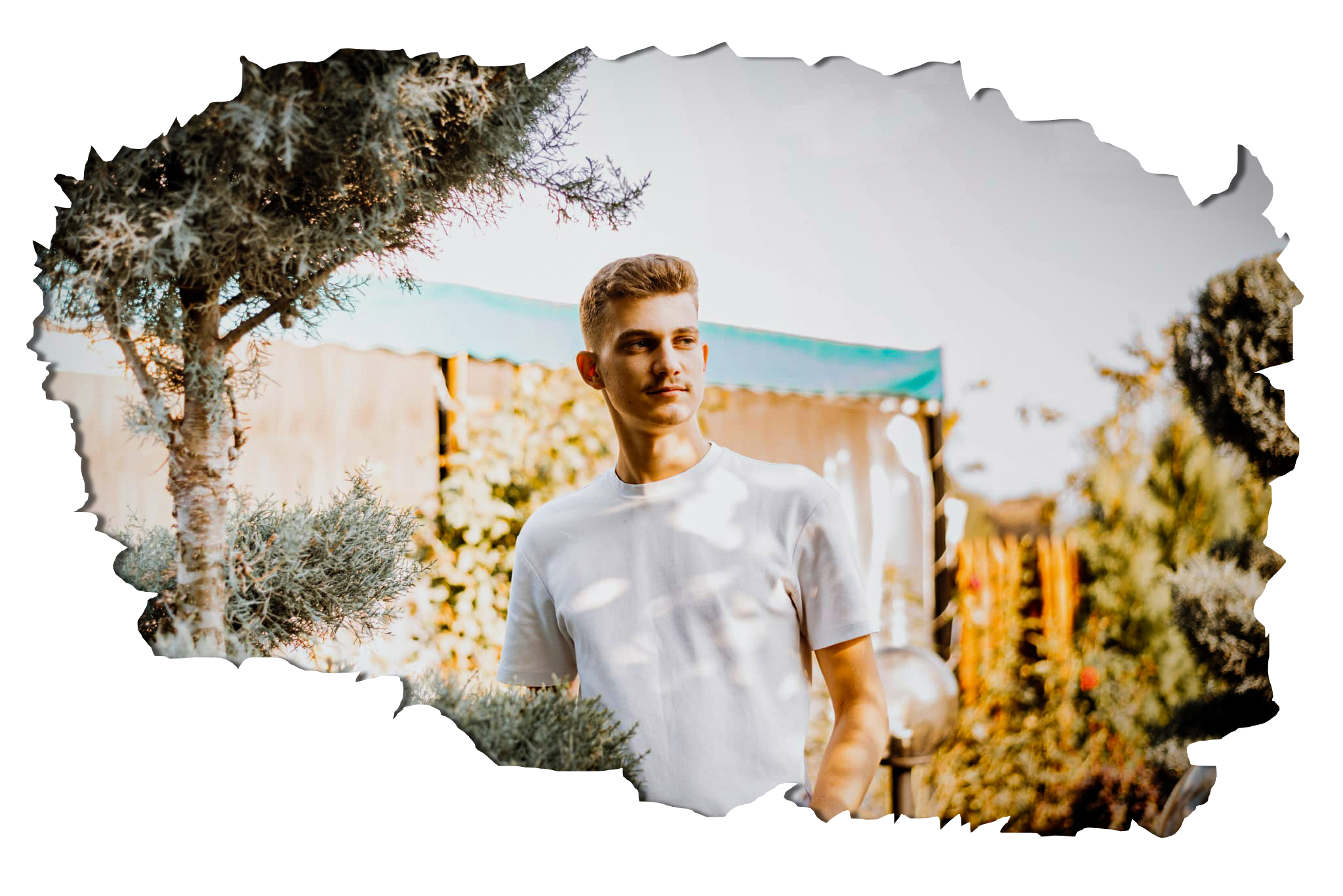 Fluture decorativ – stil vizual delicat al site-ului fotografic din Bacău
